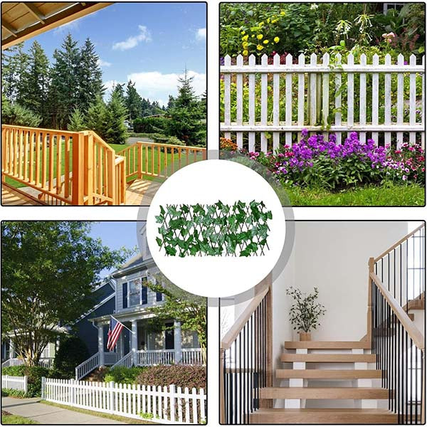 Zelena ograda koja oživljava dvorište i terasu