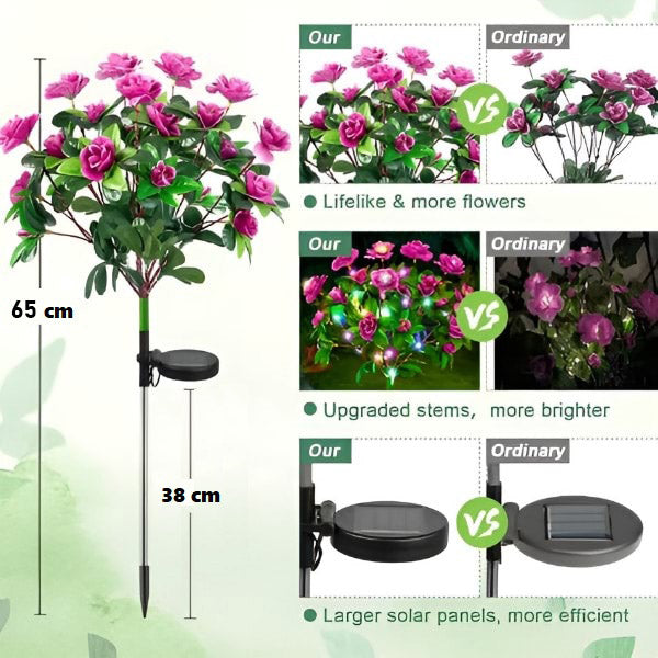 Solarne Ruže Premium