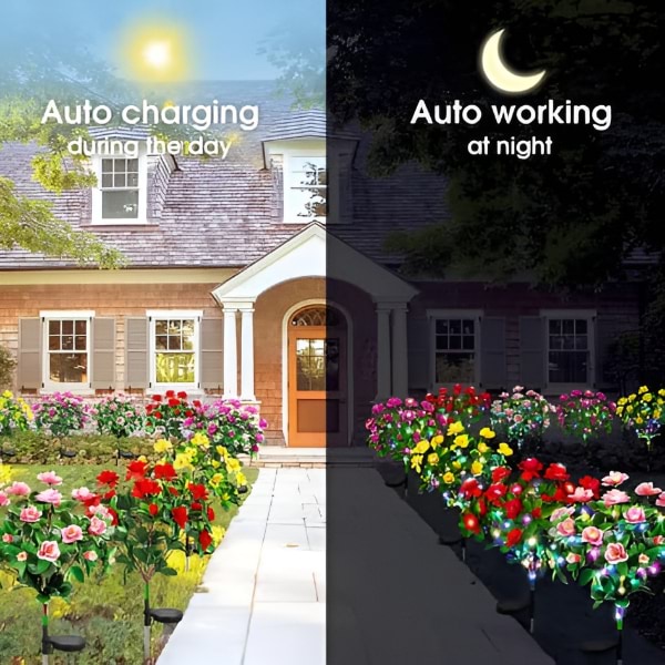 Solarne Ruže Premium