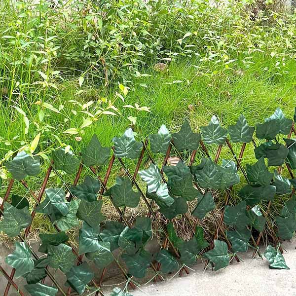 Zelena ograda koja oživljava dvorište i terasu