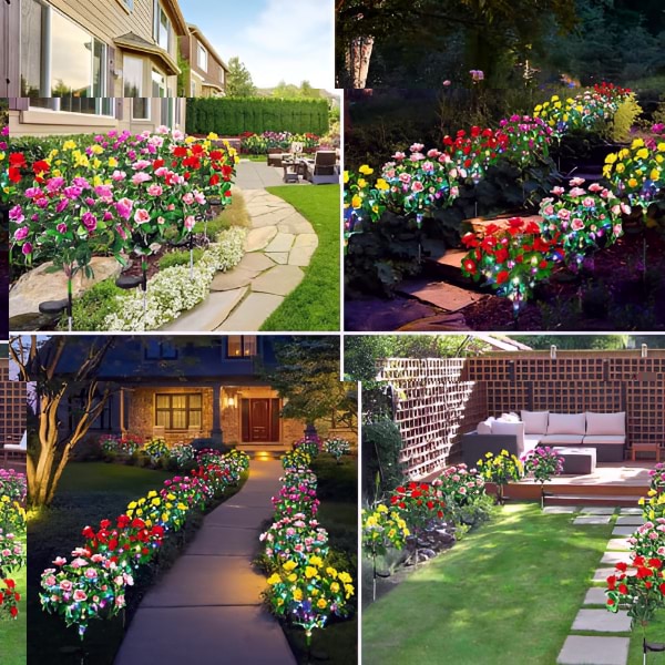 Solarne Ruže Premium