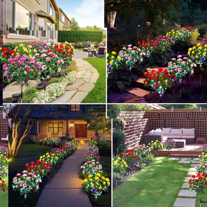 Solarne Ruže Premium