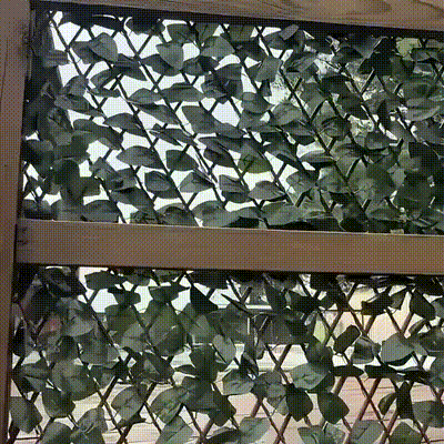 Zelena ograda koja oživljava dvorište i terasu