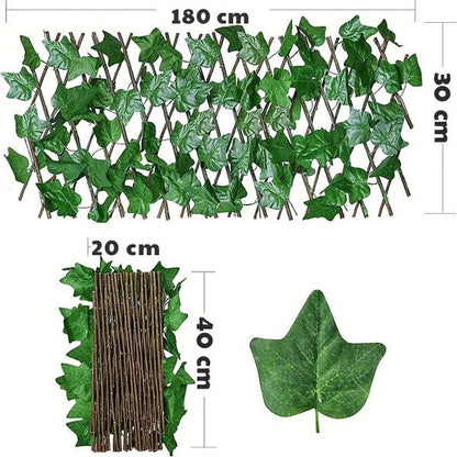 Zelena ograda koja oživljava dvorište i terasu