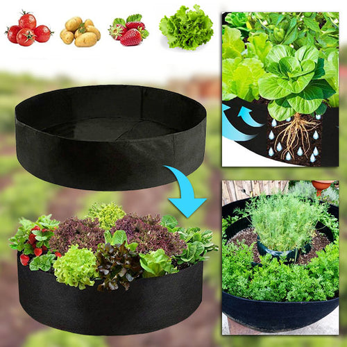 Sadilac za mini vrt na terasi i u dvorištu | PLANTIE
