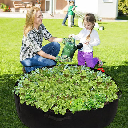 Sadilac za mini vrt na terasi i u dvorištu | PLANTIE