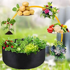 Sadilac za mini vrt na terasi i u dvorištu | PLANTIE