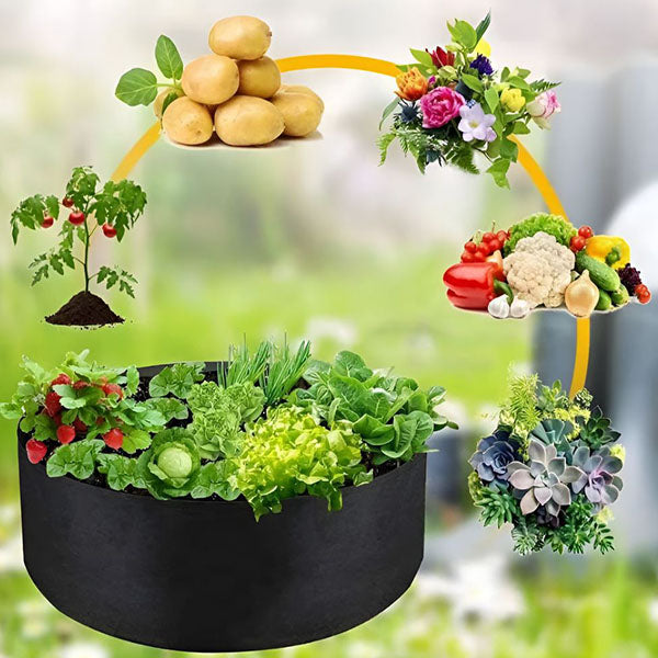 Sadilac za mini vrt na terasi i u dvorištu | PLANTIE