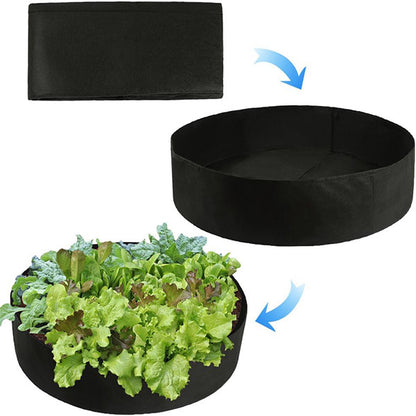 Sadilac za mini vrt na terasi i u dvorištu | PLANTIE