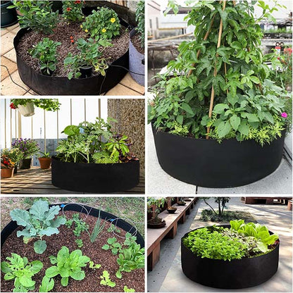 Sadilac za mini vrt na terasi i u dvorištu | PLANTIE