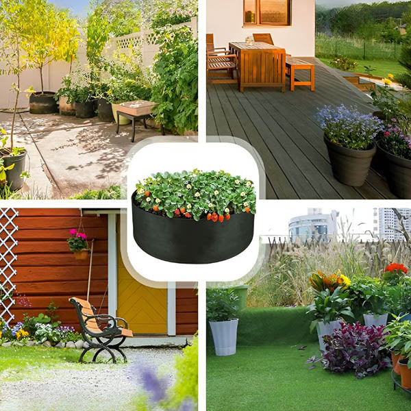 Sadilac za mini vrt na terasi i u dvorištu | PLANTIE