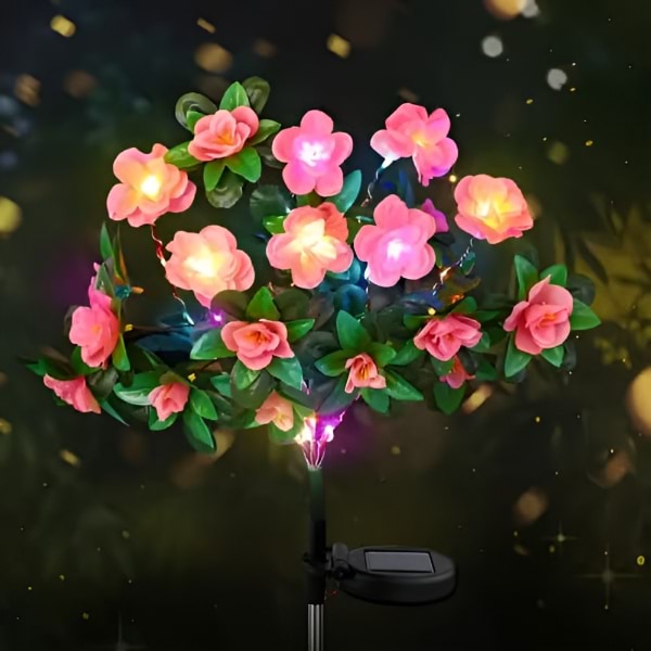 Solarne Ruže Premium