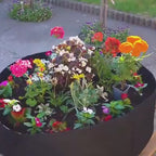 Sadilac za mini vrt na terasi i u dvorištu | PLANTIE