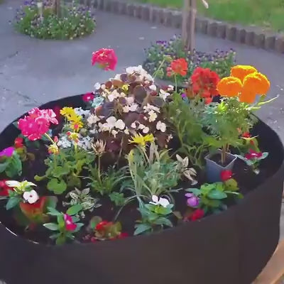 Sadilac za mini vrt na terasi i u dvorištu | PLANTIE